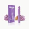 Sauce Bar Gelato
